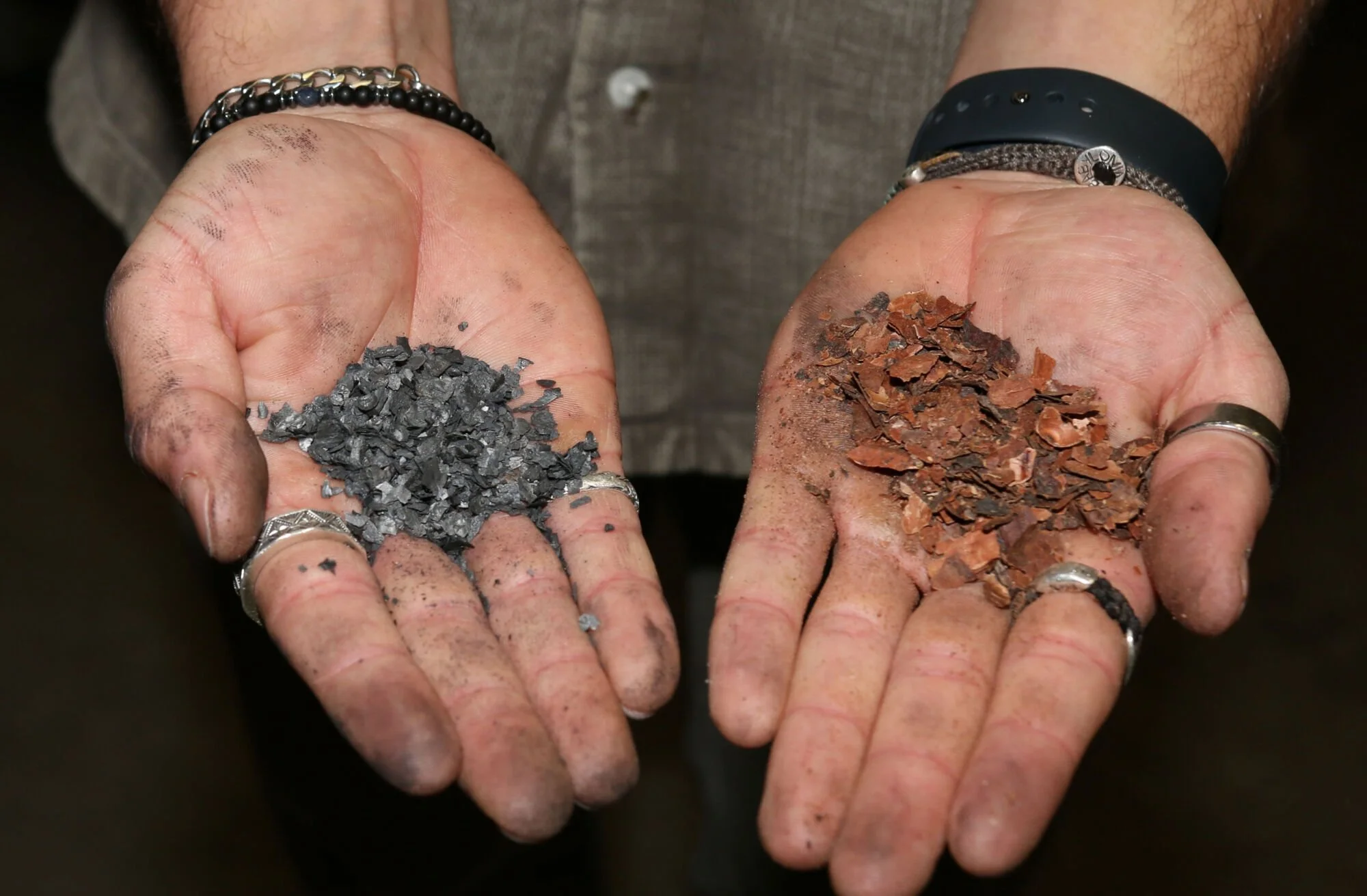 A person holding two hands with dirt on fingers. The left hand holds gray slate or stone flakes, and the right hand holds reddish-brown bark or chips. The person is wearing rings and bracelets.