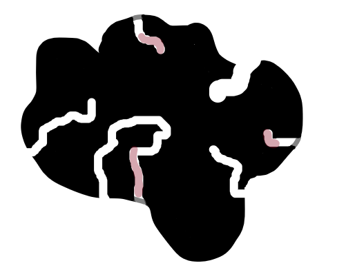Incompletely reacted biochar particle.