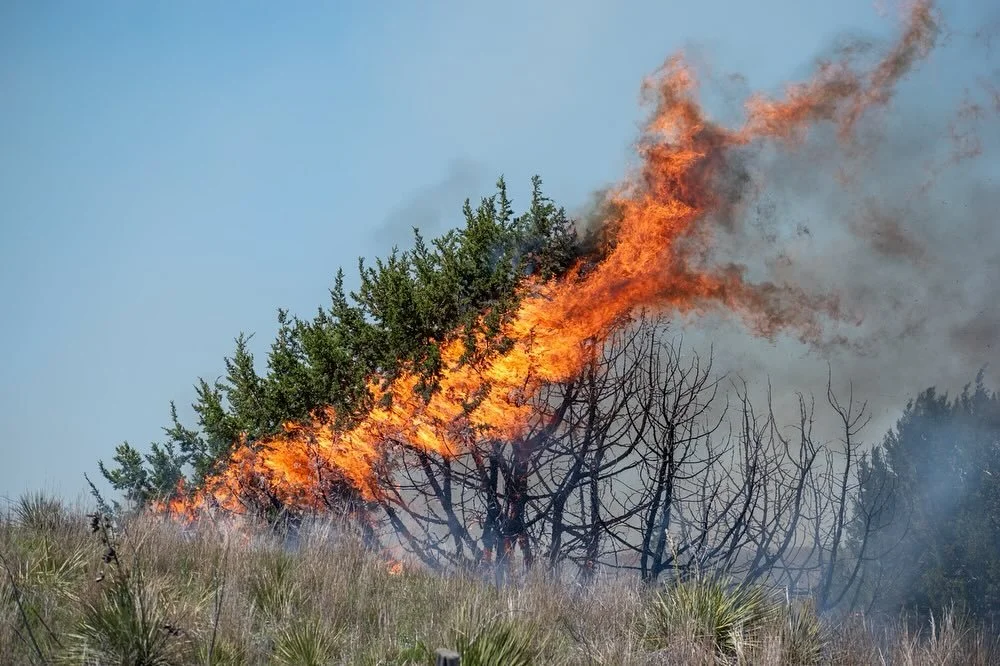 fire2.jpg