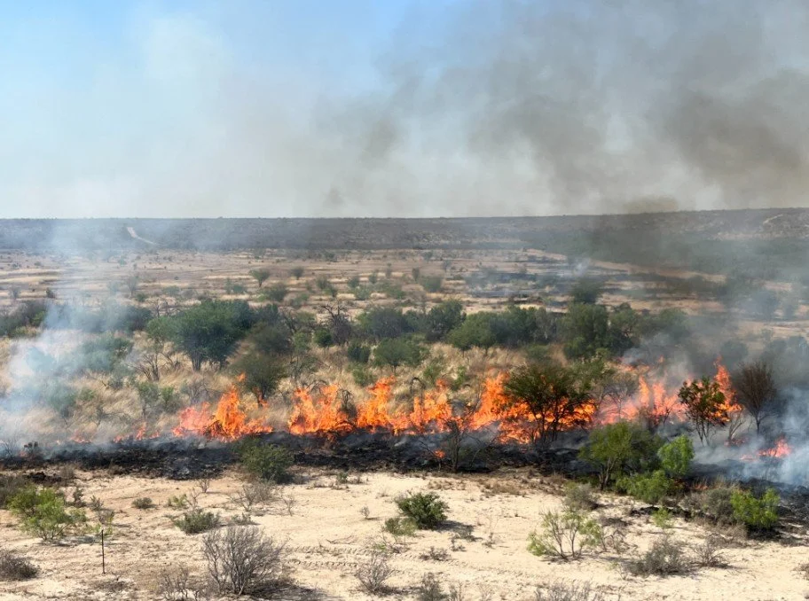 Assisted with >60 Rx burns (totaling >14,000 acres)!