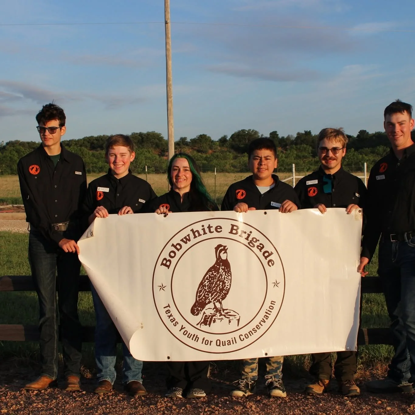 Bobwhite Brigades Camps
