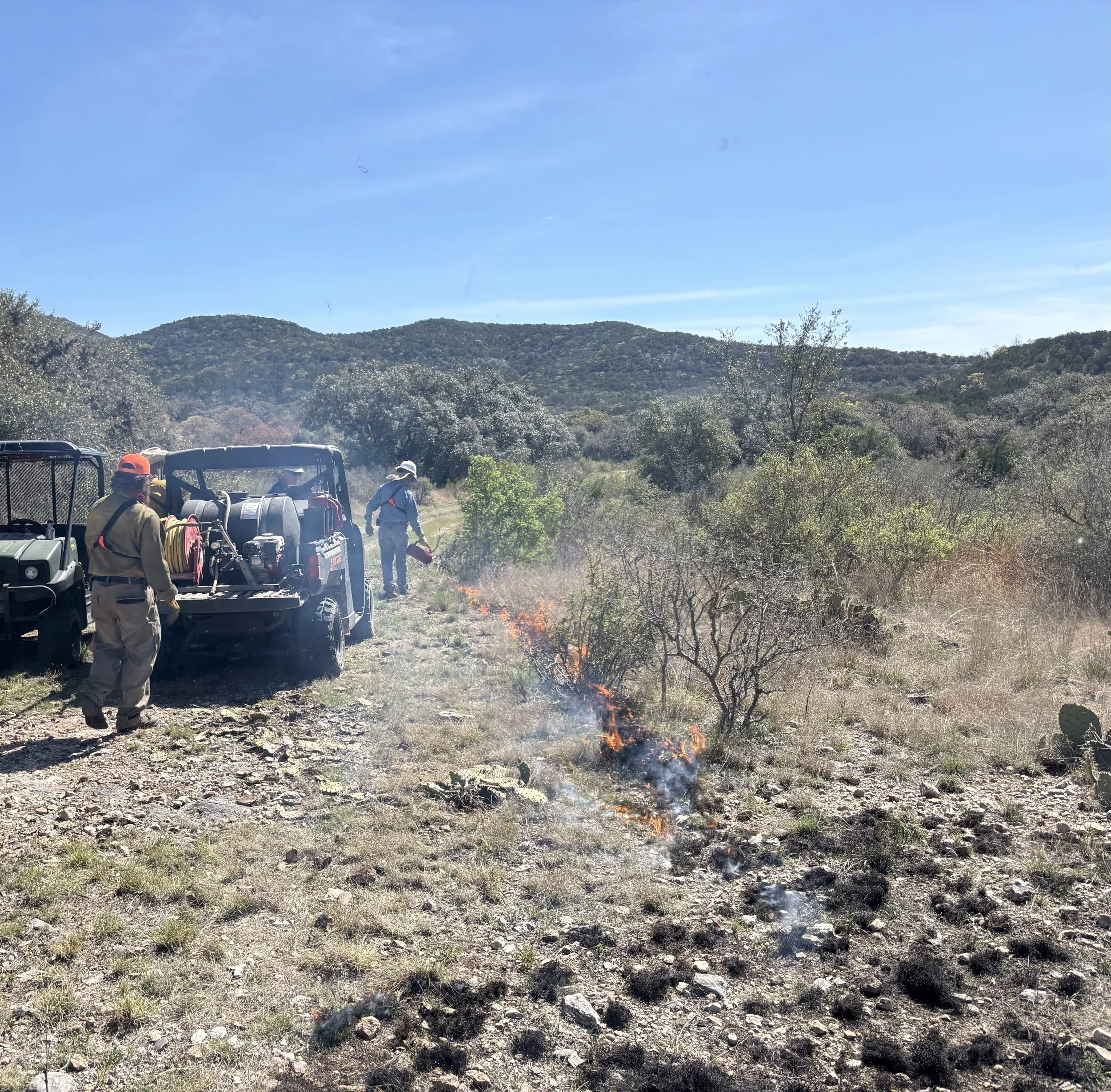 Shield Ranch Camp Wood