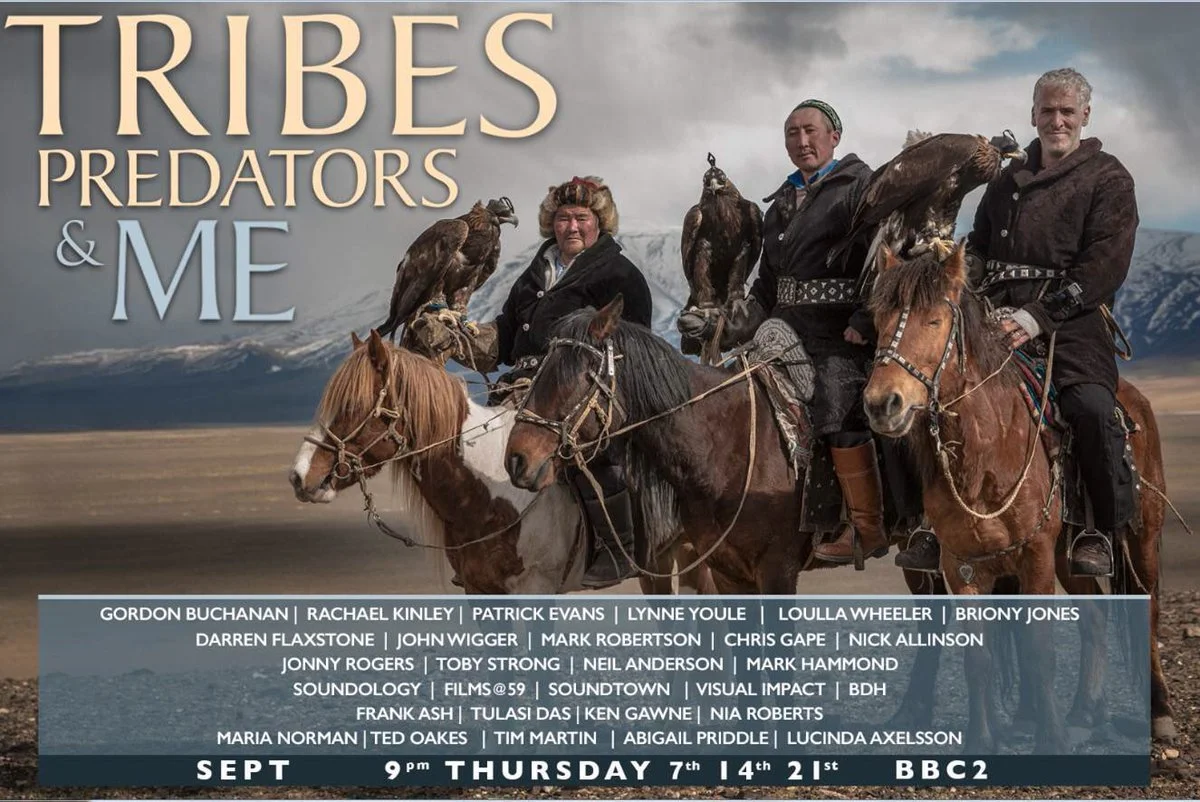 Four people riding horses in a mountainous landscape, each with a bird of prey on their arm, promoting a show titled "Tribes, Predators & Me" with guest list and event details in text at the bottom.