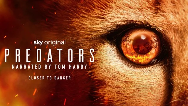 Close-up of a lion's eye with fiery reflection, with text promoting the Sky Original series 'Predators' narrated by Tom Hardy.