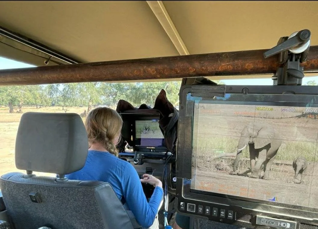 A woman in a blue shirt is driving a vehicle with safari equipment. She is looking at a monitor showing elephants in the wild, with additional elephants visible through the vehicle's open side.