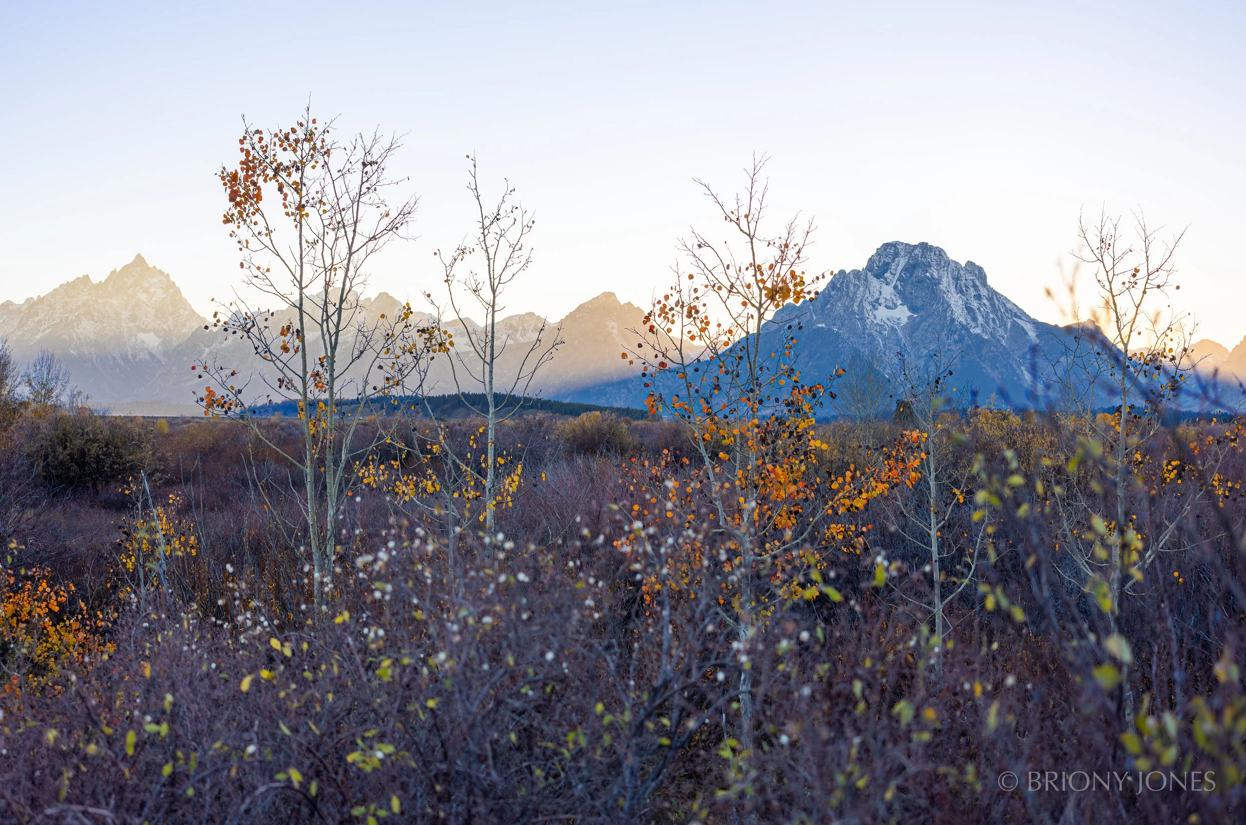 Mountain range with snow-capped peaks in the background, sparse trees with autumn leaves, and a clear sky in the foreground.