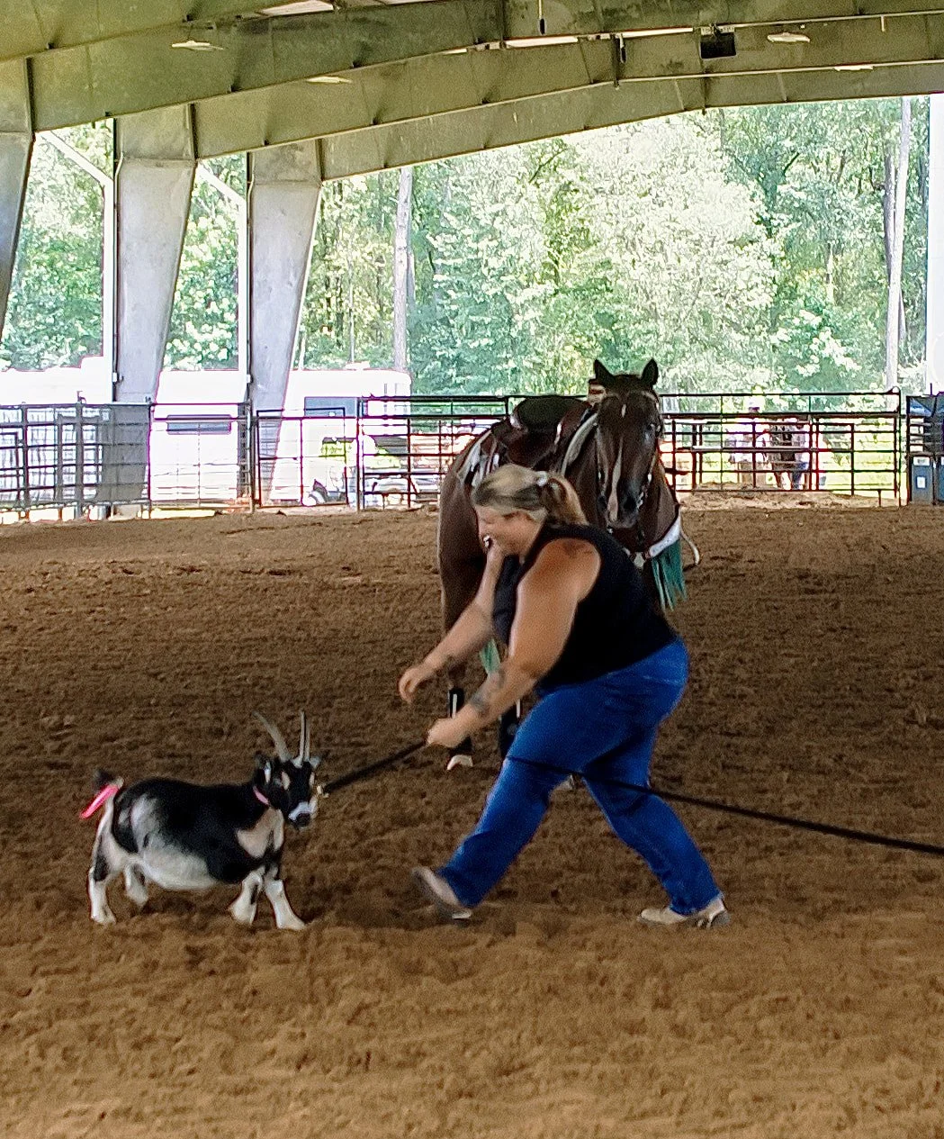 evoto-18-of-90_orig.jpg