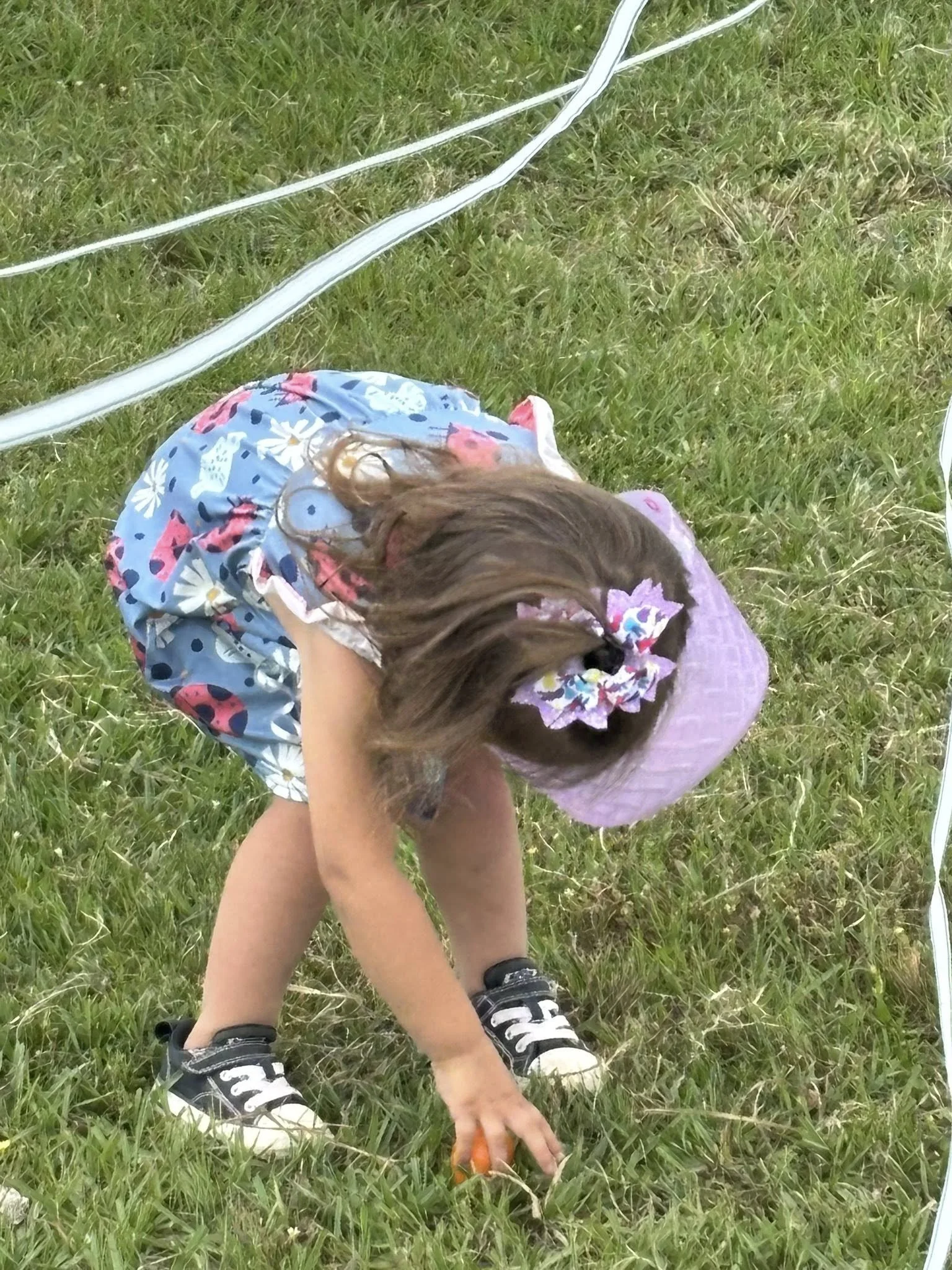 491202722_1081750333981421_5669988072877148376_n.jpg