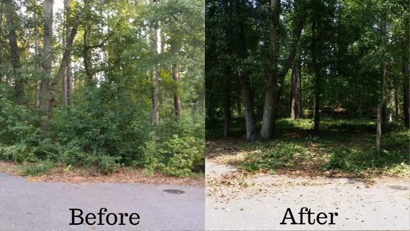 Comparison of a wooded area before and after cleanup: the 'before' side has overgrown bushes and trees next to a paved road, while the 'after' side shows a cleared area with fewer bushes and more open space.
