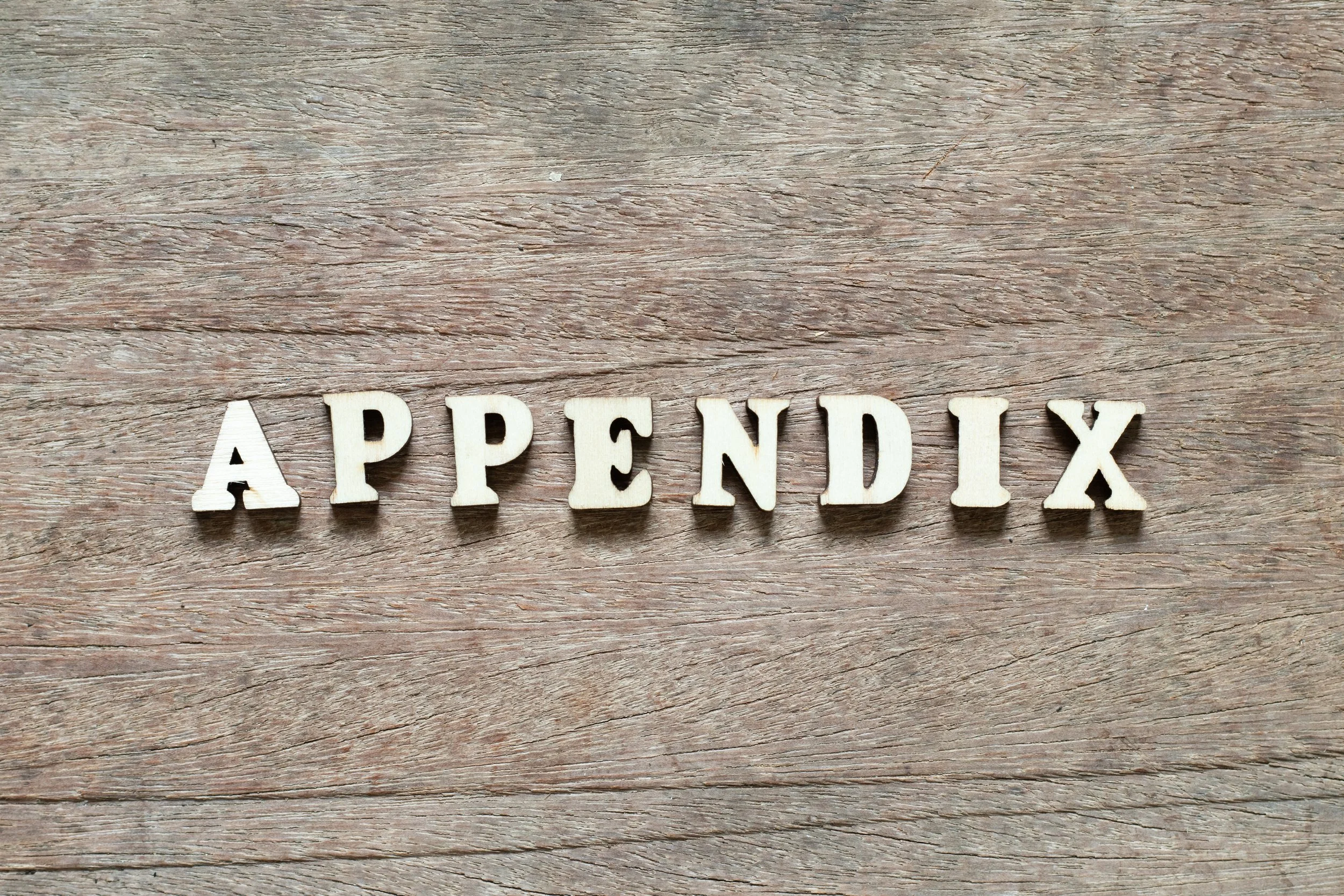 wooden board with "appendix" spelled out in block letters