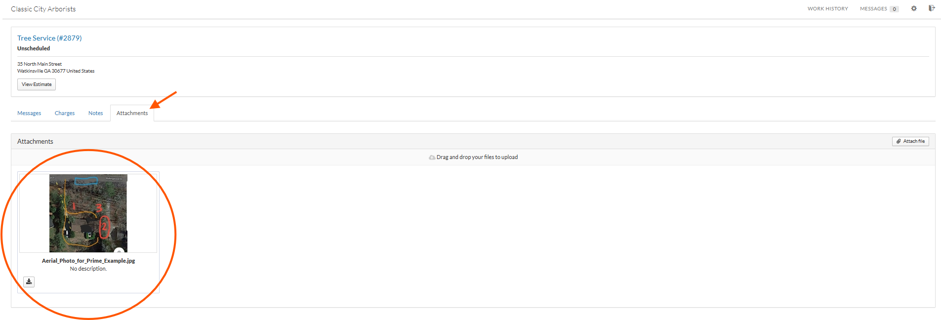 Aerial photo of a residential backyard with a winding yellow and red pathway, trees, bushes, and a small building.