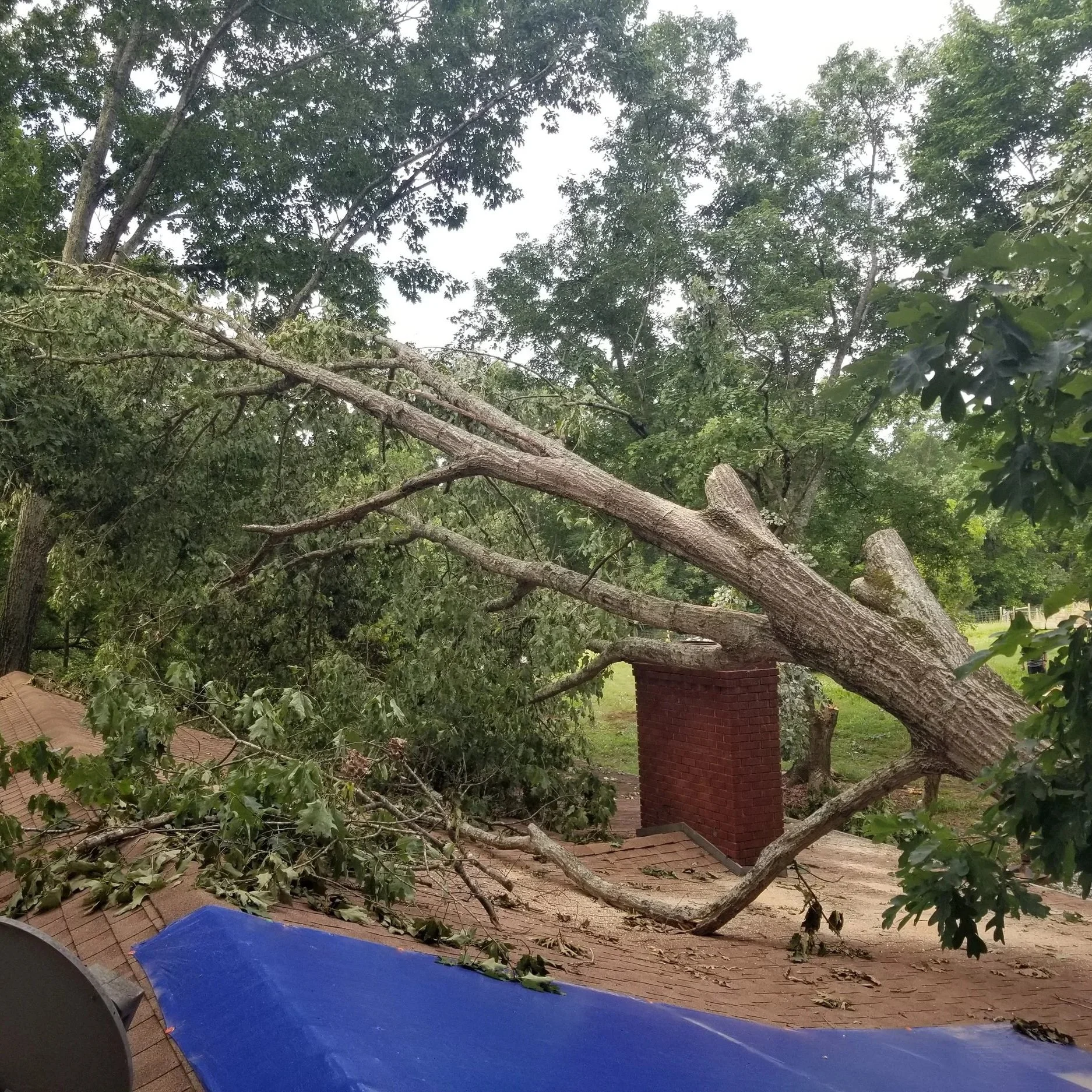 A large tree has fallen over the roof of a building with a brick chimney, damaging the roof and scattered debris.