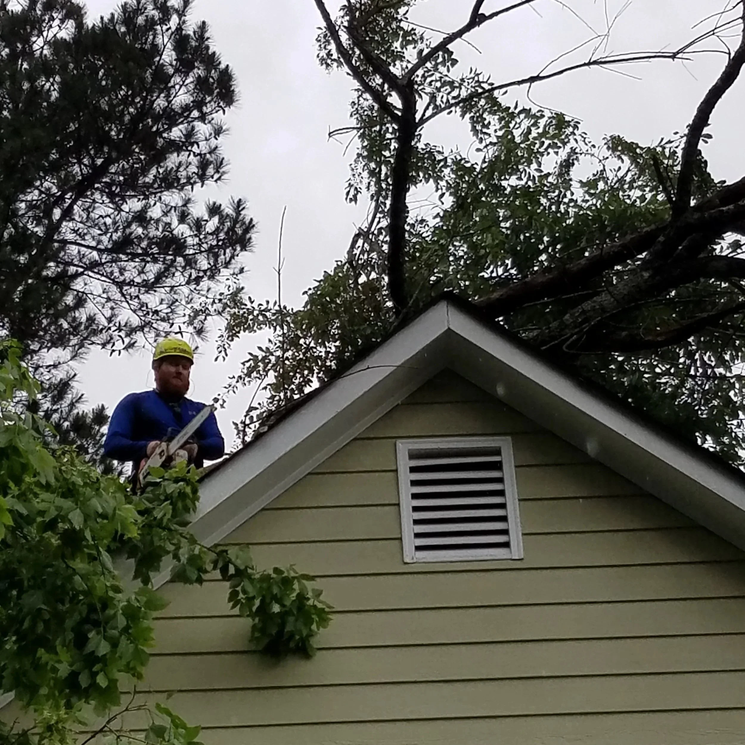 A man wearing a yellow helmet and blue jacket is on the roof of a yellow house, surrounded by trees, holding a chainsaw, possibly trimming or cutting branches.