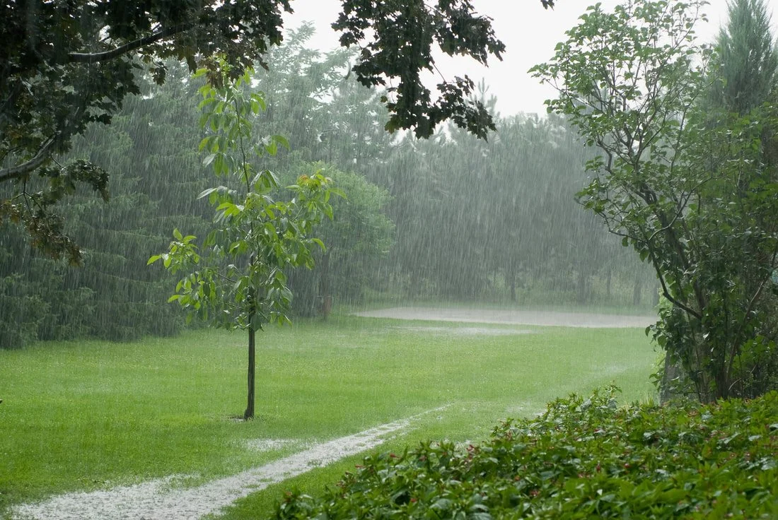 Summer Storms Are Fast Approaching