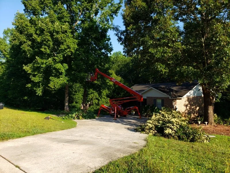 Pruning