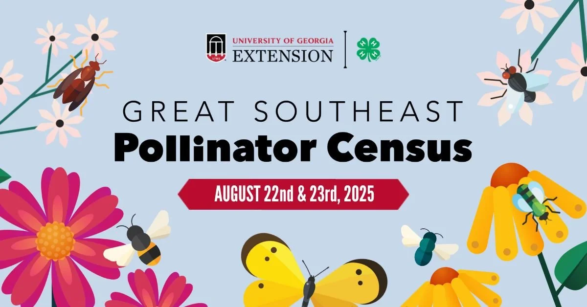 The Great Southeast Pollinator Census
