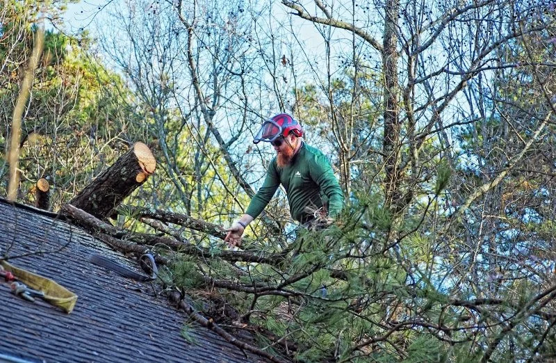 FAQ: Whose Tree Is It Anyway?