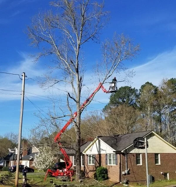 FAQ: Why We Don’t Work Around Power Lines