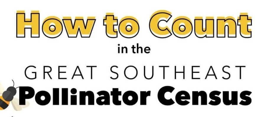 how to count The Great Southeast Pollinator Census
