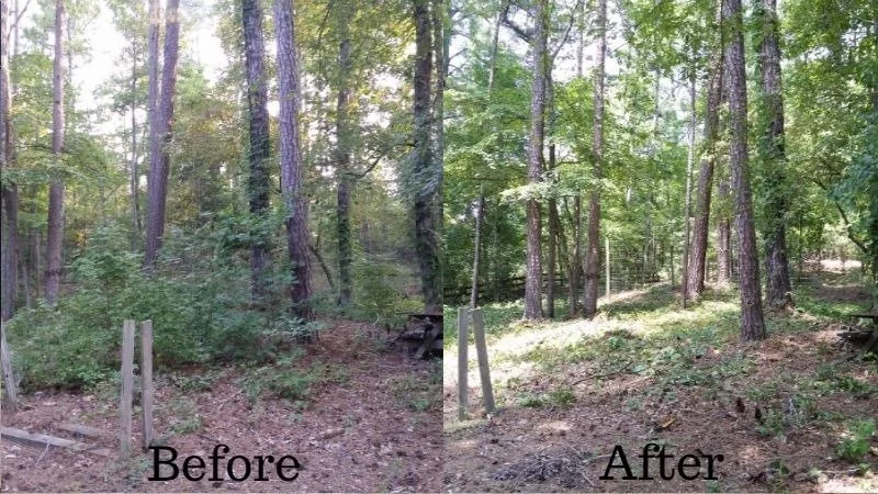 Side-by-side comparison of a wooded area showing the 'Before' with overgrown bushes and uneven ground, and the 'After' with cleared underbrush, a smoother path, and more visible trees.