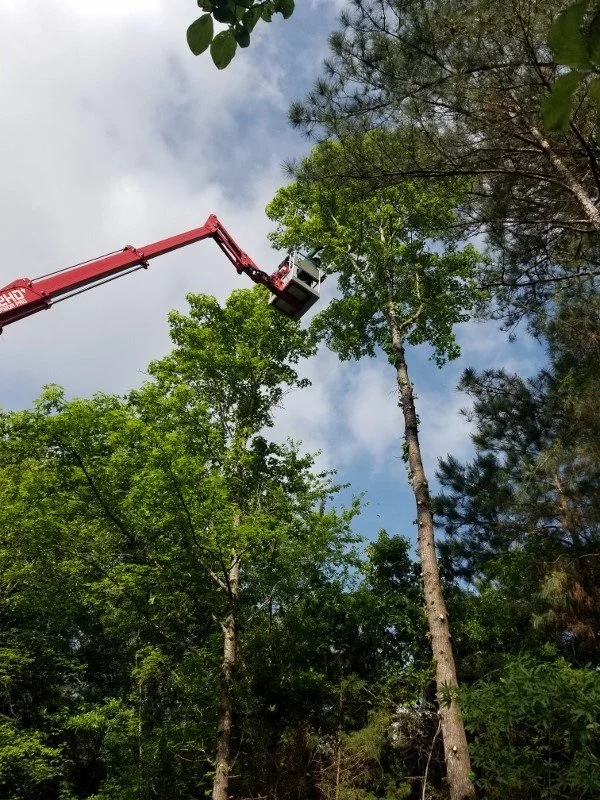 Lift 2 (800x600).jpg