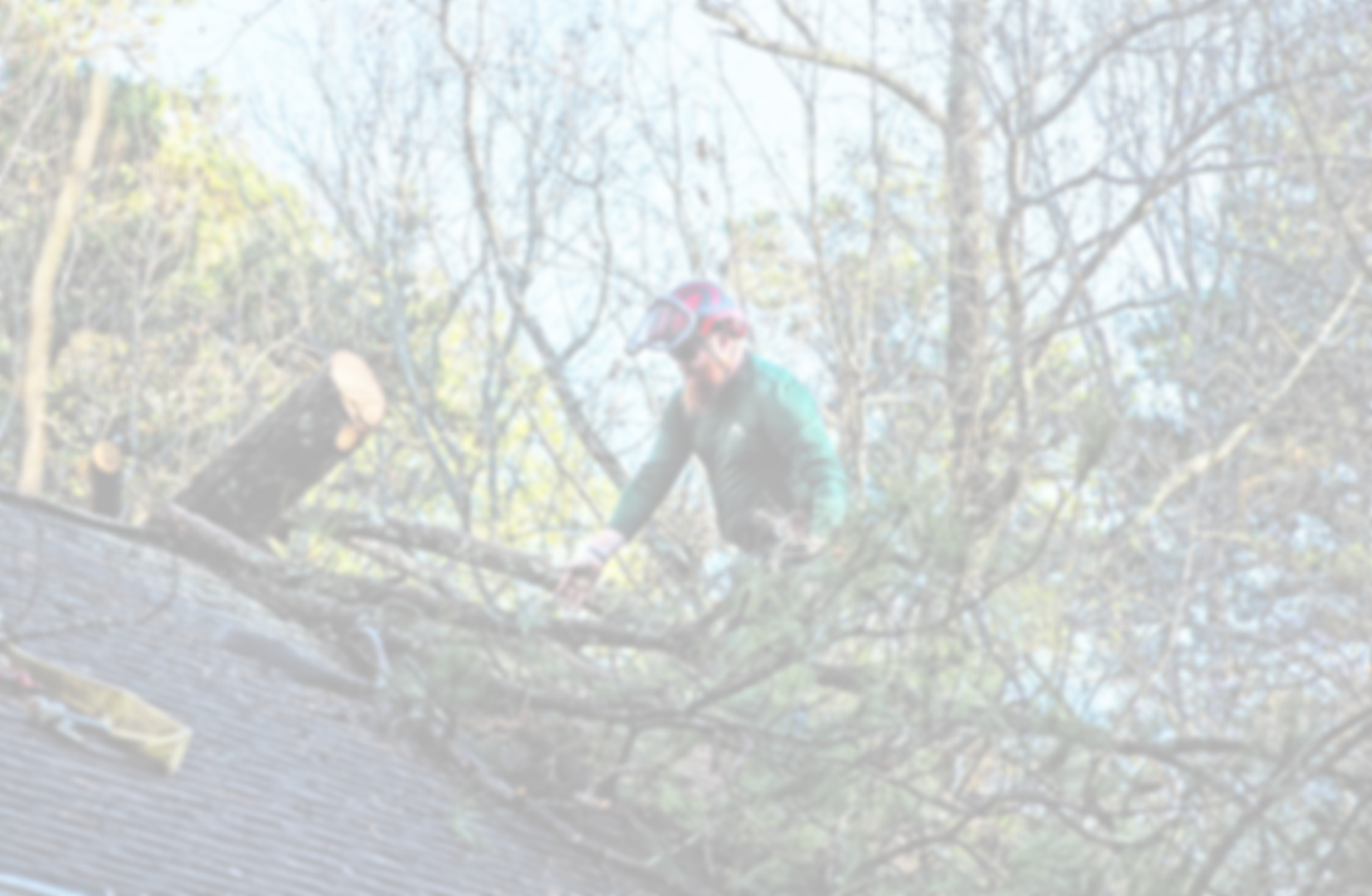 A person in a helmet and outdoor gear climbing on a fallen tree across a pond or river during daytime, surrounded by leafless trees.