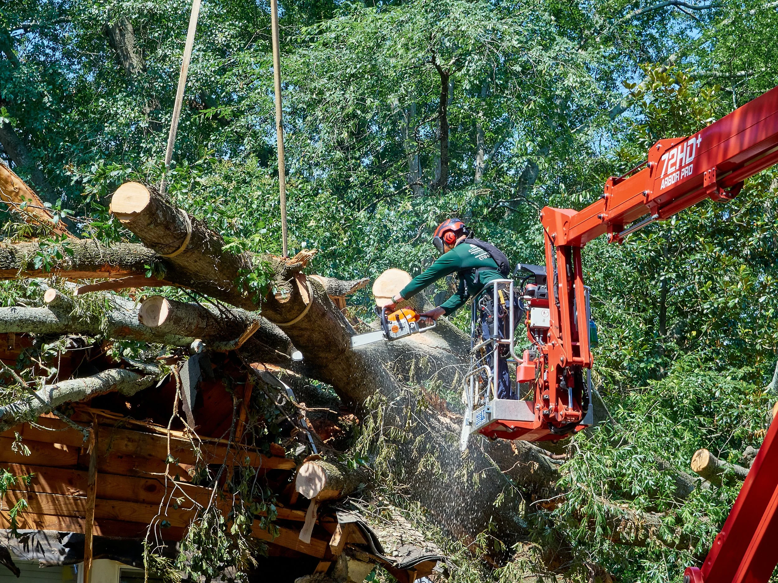 A worker operating a cherry picker saws through a tree trunk after a storm, with green foliage in the background and sunlight filtering through the leaves.