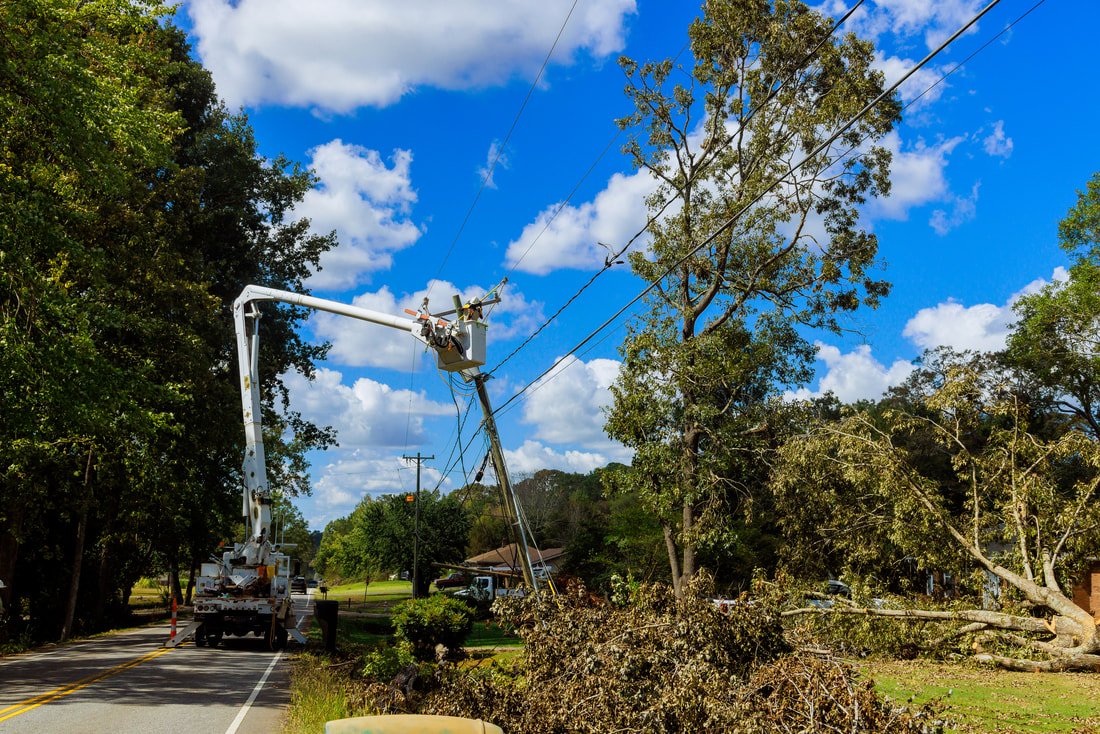 tree removal crew cutting a tree away from power lines