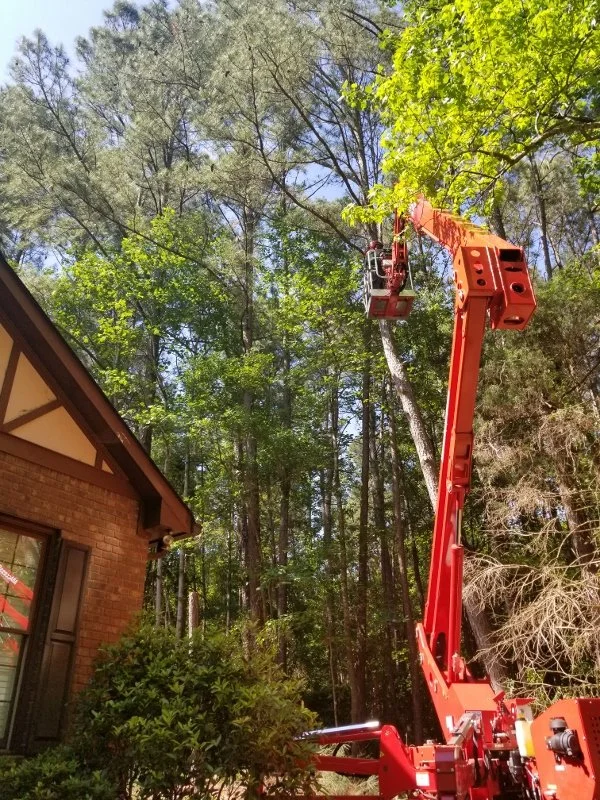 Lift 3 (600x800).jpg