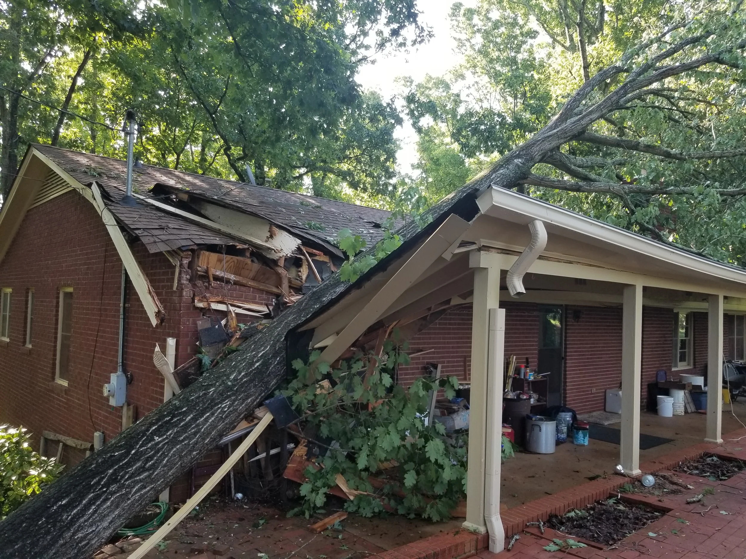 A large tree has fallen onto a house, damaging the roof and porch area.