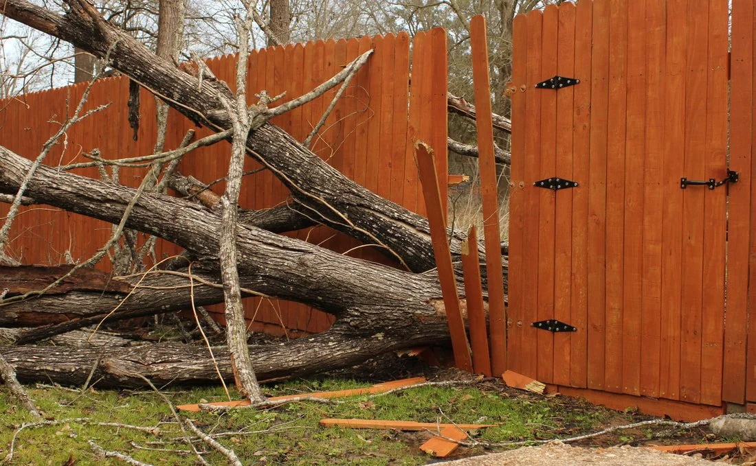 tree fallen through privacy fence