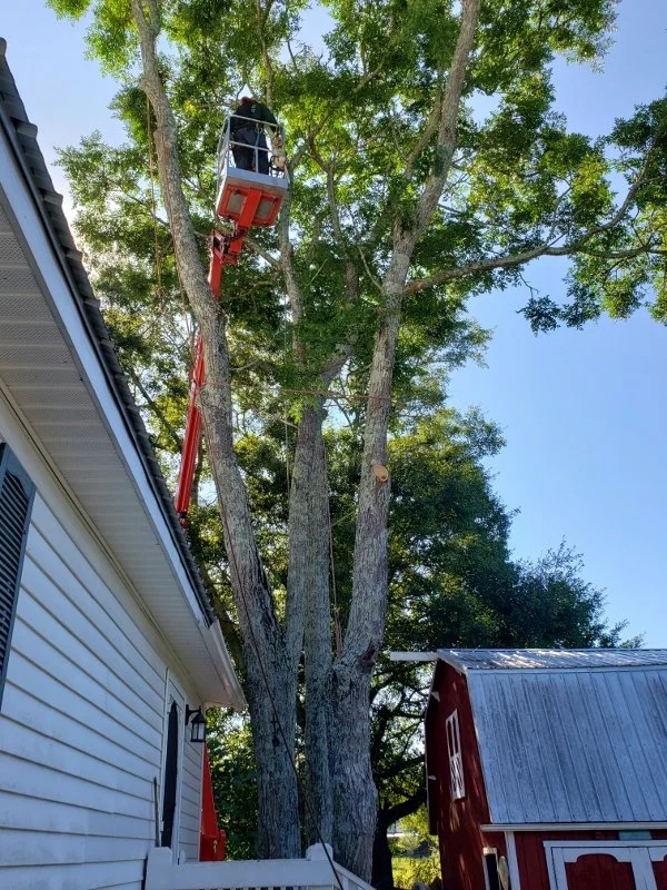 Lift 6 (600x800).jpg