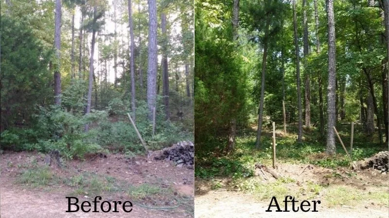 Side-by-side comparison of a wooded area before and after clearing, showing trees, dirt, and some small plants, with the 'after' image showing more open space and better maintained land.