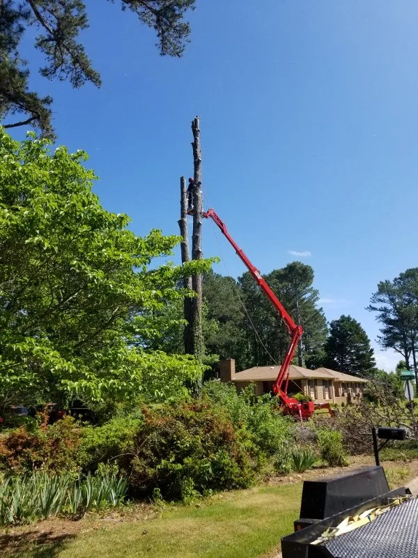 Lift 4 (600x800).jpg
