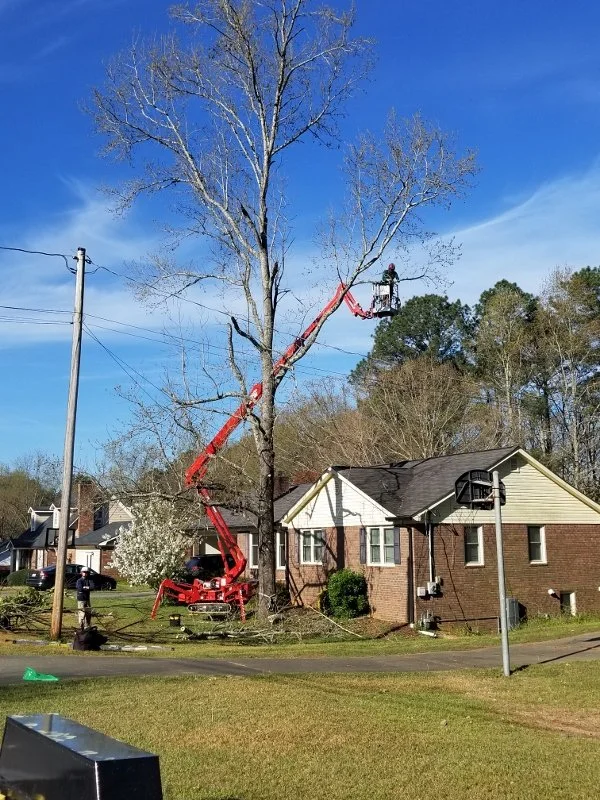 20190328_094444 (600x800).jpg