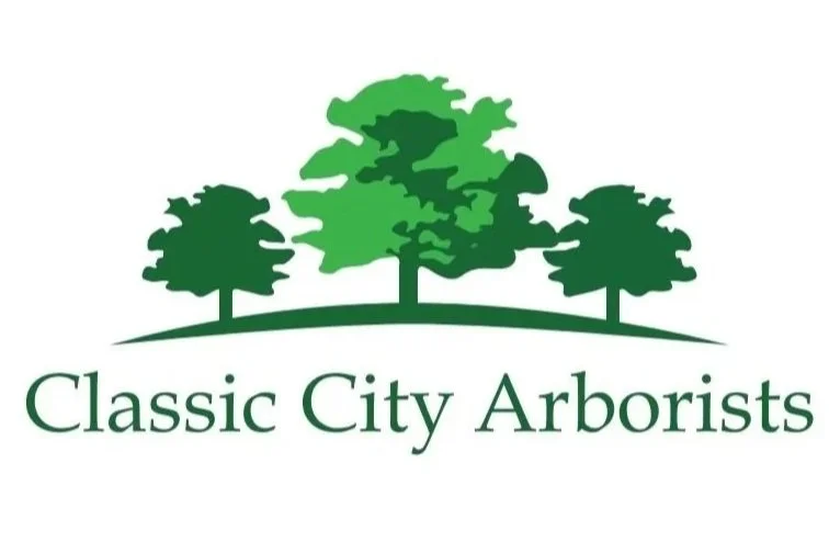 Classic City Arborists