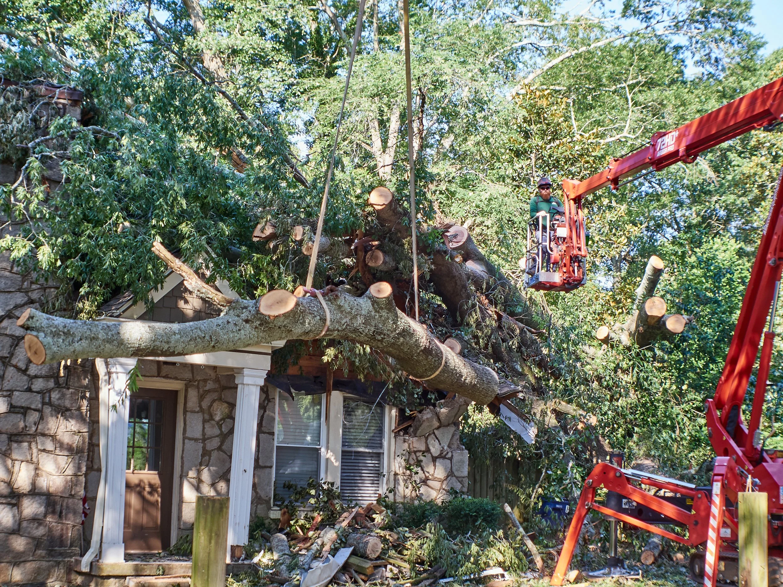 A large tree has fallen onto a house, damaging the roof and blocking the front porch. A worker is operating a cherry picker lift to remove the tree, with branches and debris scattered on the ground.