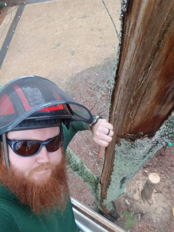 Our Certified Arborist, Scott, gives the damage a thumbs-down!