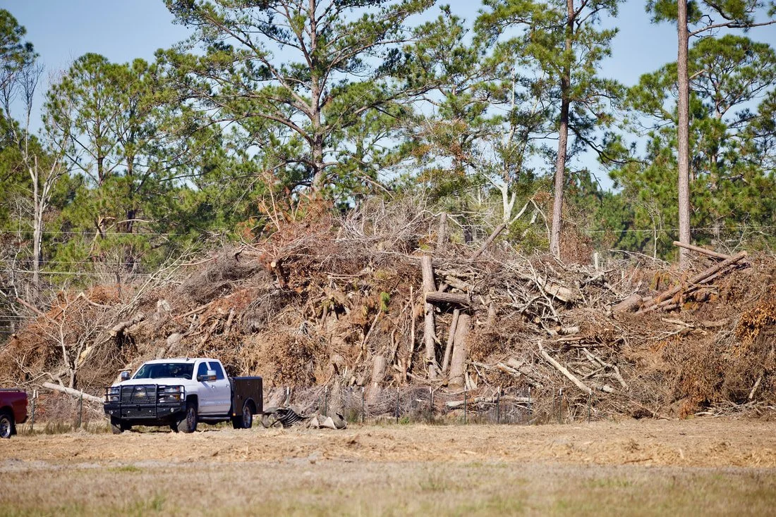 large tree debris pile