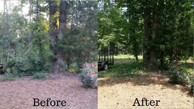 Side-by-side comparison of a yard before and after cleanup, showing a large tree, a small trailer, and flowering bushes, with clearer space in the after photo.