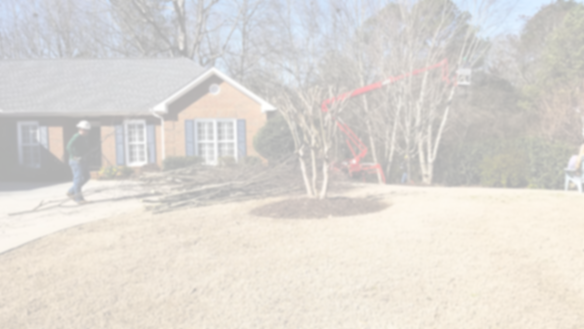 A house with blue shutters on the windows, a man walking on a concrete path, and a tree in the front yard with mulch around its base. There is construction equipment in the background.
