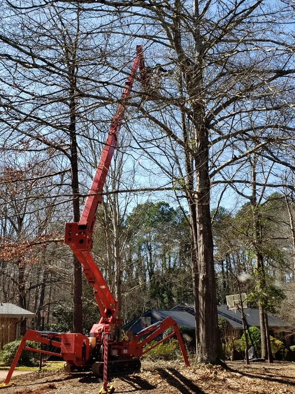 20200227_131905 (600x800).jpg