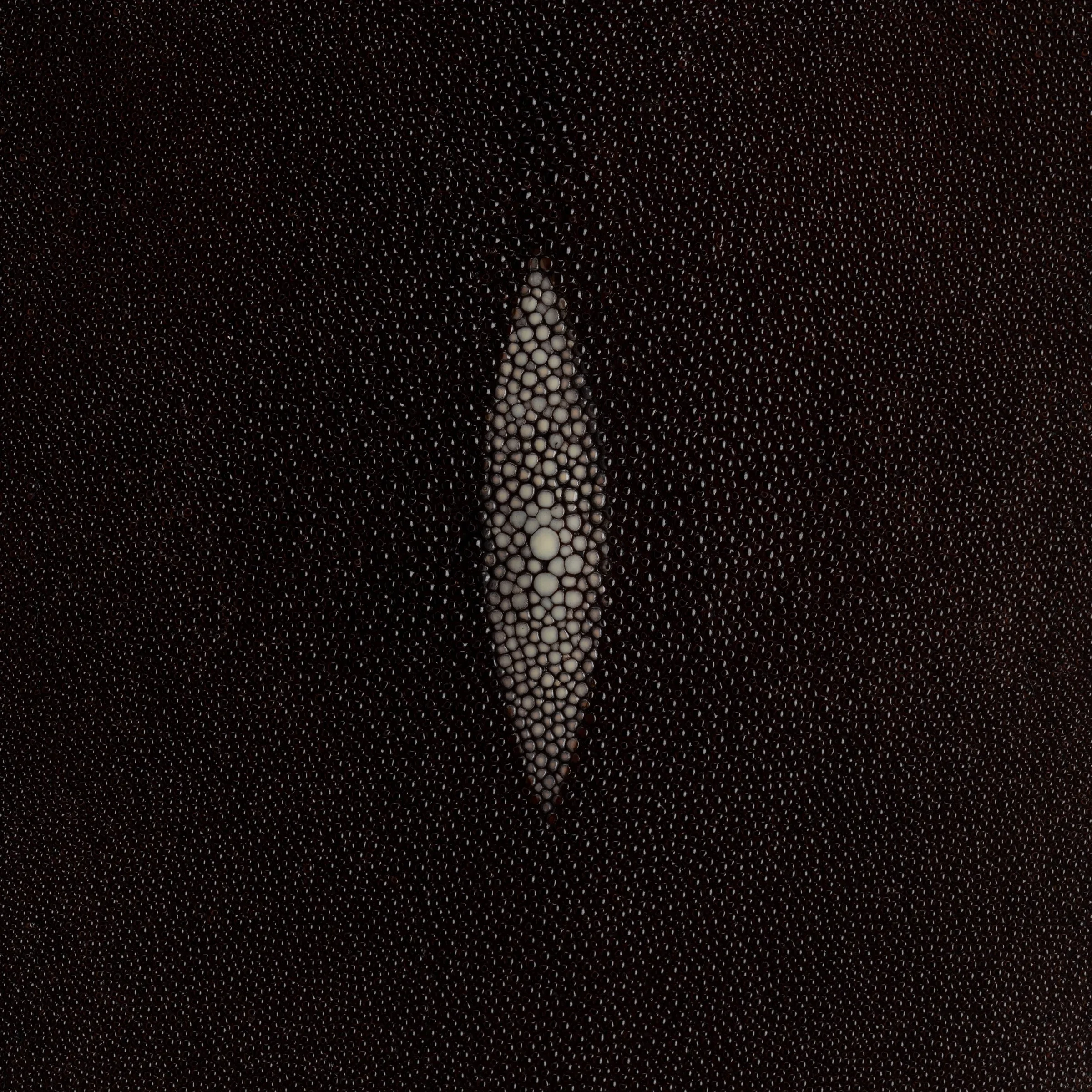 Close-up of a black textured surface with a vertical white pattern in the center. Stingray Leather