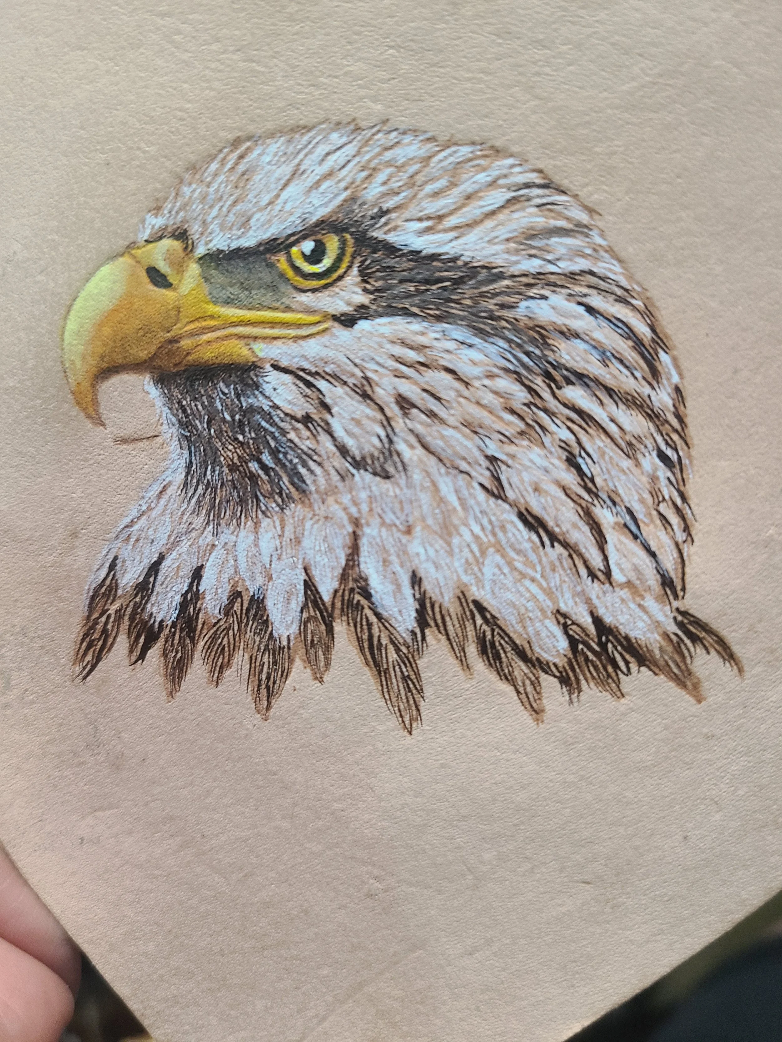 A realistic illustration of an eagle's head, showing detailed feathers, a sharp yellow beak, and intense yellow eyes.
