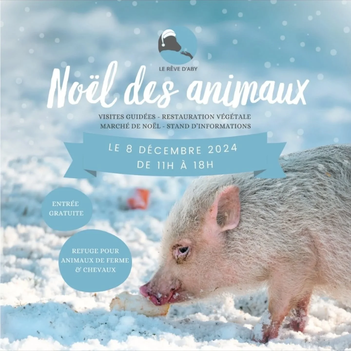 We are delighted to be participating in @lerevedaby xmas market, see you there with lots of vegan treats in aid of the animals 🐮💚🎅