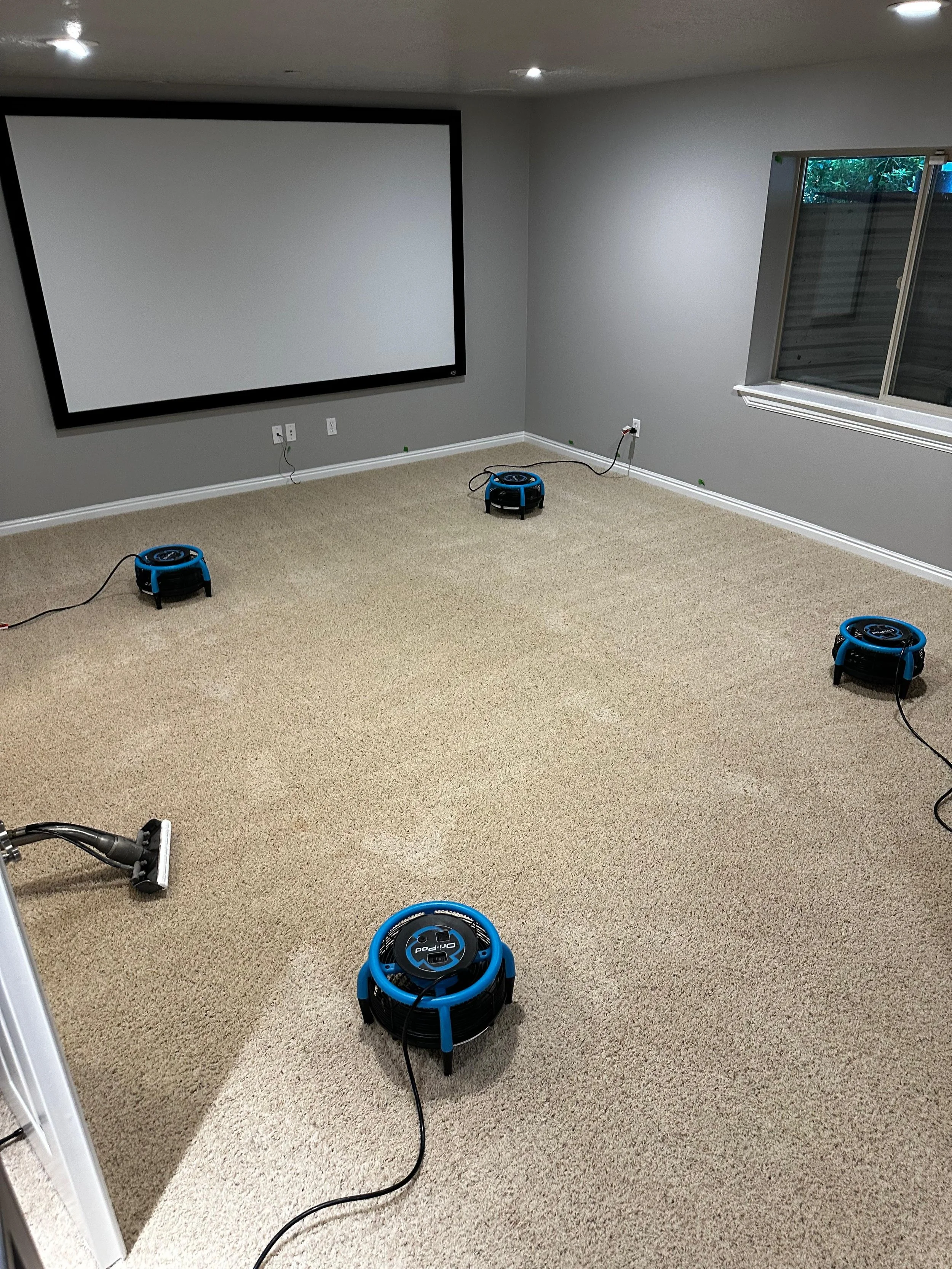 Empty room with beige carpet, gray walls, a large projection screen on the front wall, window on the right, and four blue robotic vacuum cleaners on the carpet.