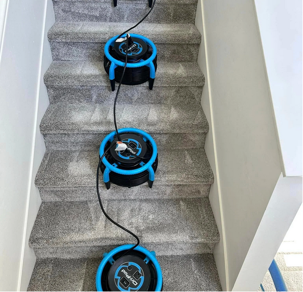 Three blue and black robotic vacuum cleaners lined up on carpeted stairs.