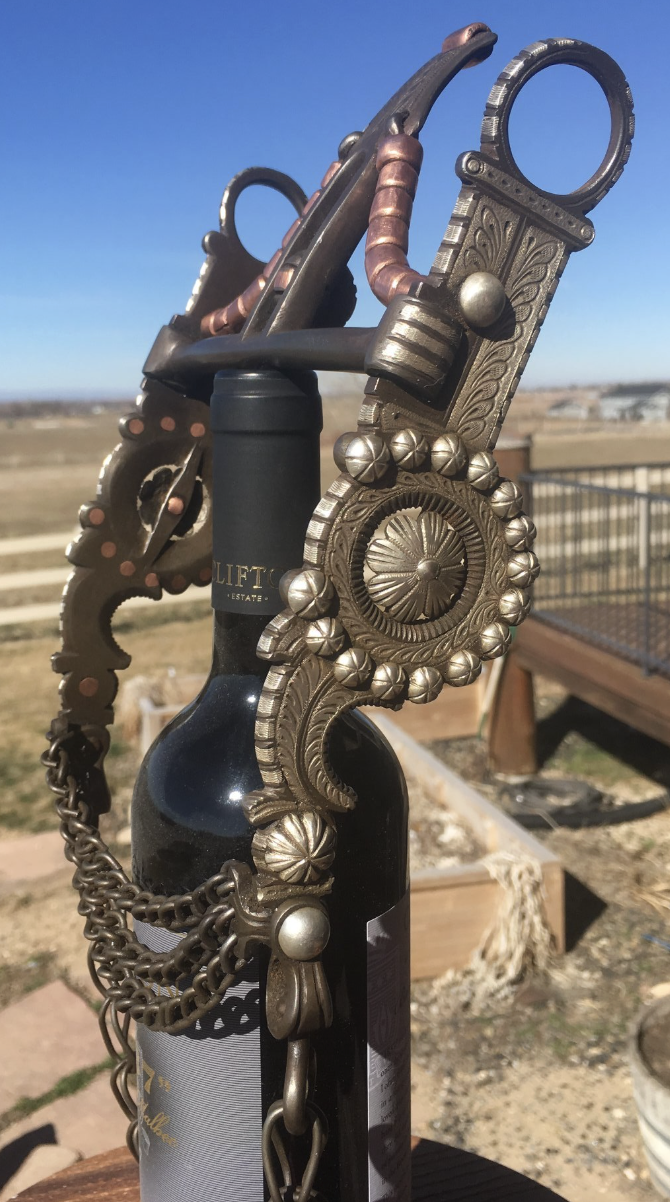 A decorative antique-looking key attached to a black wine bottle with chains, set outdoors on a sunny day with a clear blue sky and a fenced planting bed in the background.