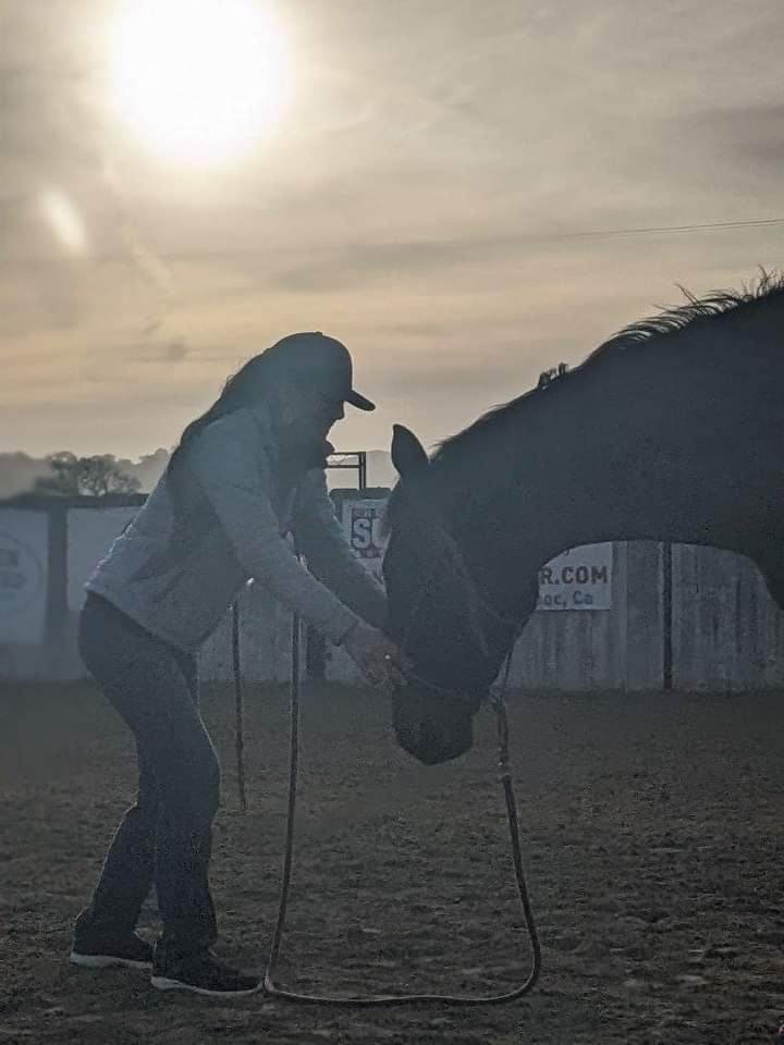 A person wearing a cap and jacket bending down toward a horse, holding its halter, in an outdoor riding arena at sunset.