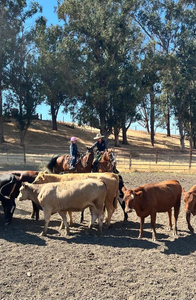 Two children riding horses while a man guides them, with a herd of cattle in an outdoor farm setting with trees and a fence.